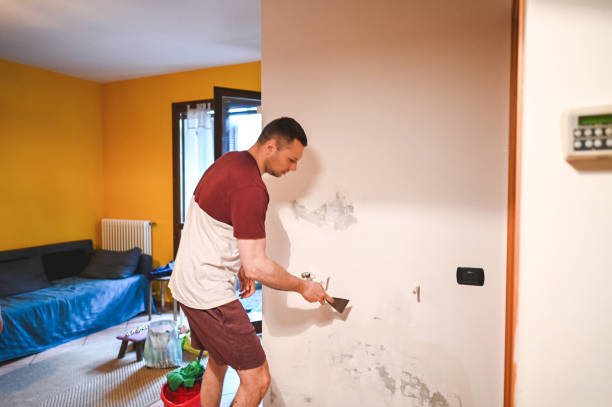 Mold Removal Process in Newnan, GA